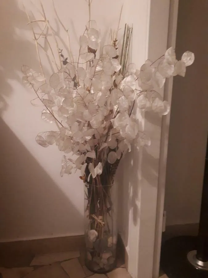 Apartment Residenza Cristina Florence